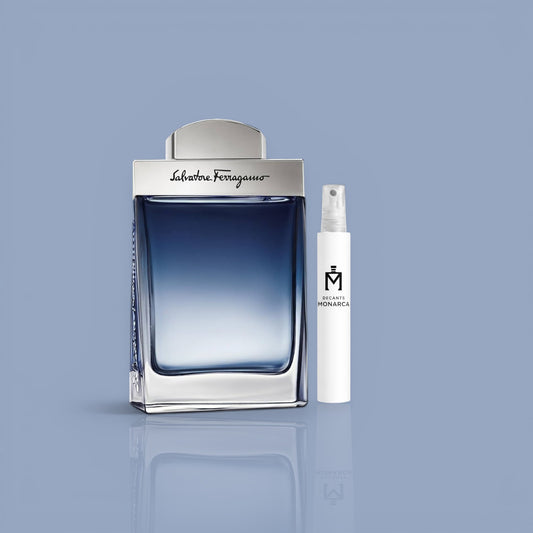 Salvatore Ferragamo Subtil Pour Homme